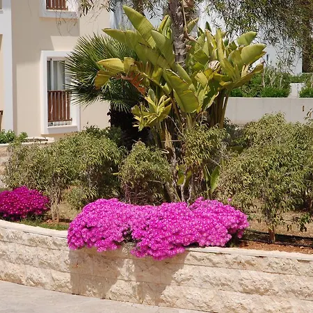 Aktea Village 4* Ajía Nápa