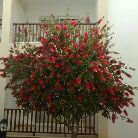 Aktea Village Θέρετρο Αγία Νάπα