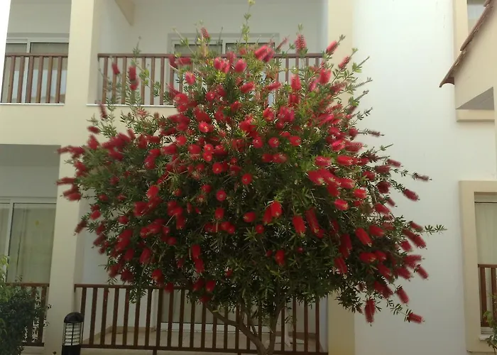 Aktea Village Semesteranläggning (resort) Ayia Napa